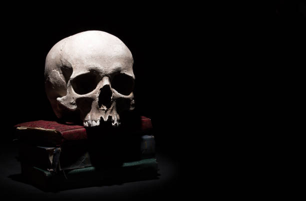 istock Human skull on old books on black background under beam of light. Dramatic concept. 969577004