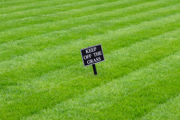 istock Keep off the grass sign on a rolled cut lawn 969579516