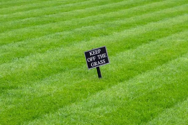 Photo of Keep off the grass sign on a rolled cut lawn