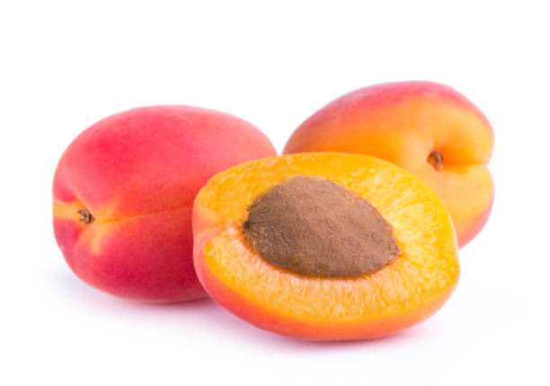 istock apricot isolated on white background 969579746