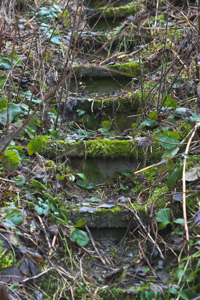 Stone staircase leading up a walkway through the Black Forest and a girl near sitting