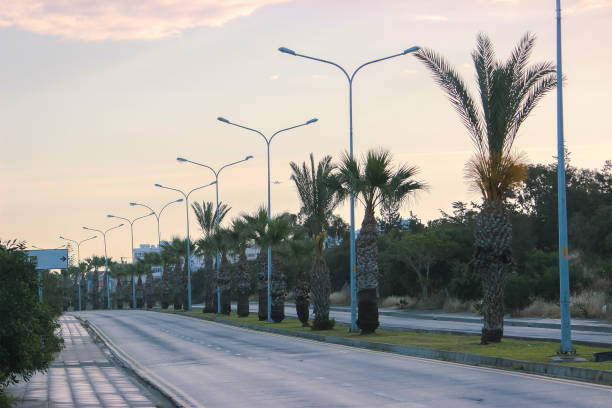 istock The view of famous palm trees 969587364