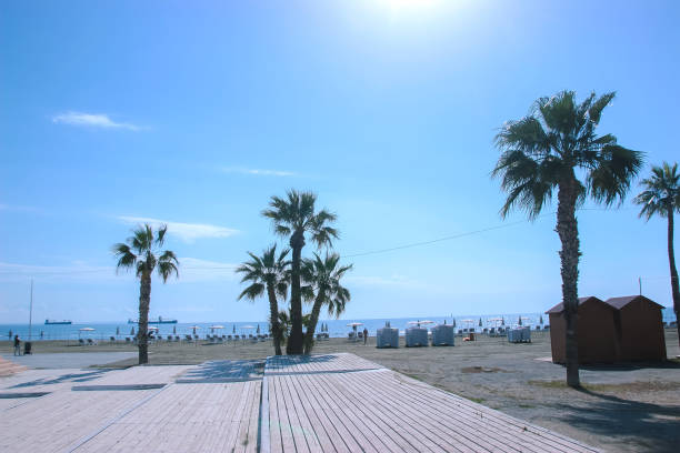 istock The view of famous palm trees 969587386