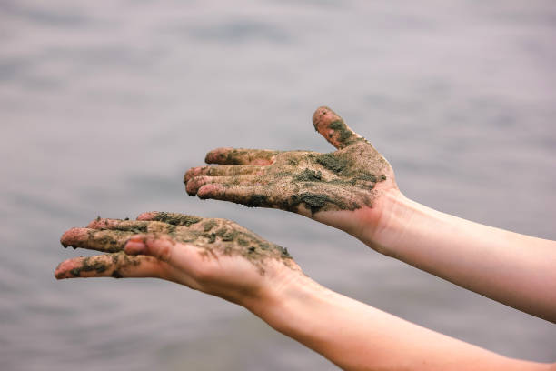 istock Closeup of hands with wet sand. 969587522