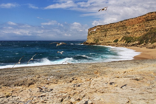 Crystal clear and wild waters in Praia da Foz, Sesimbra, Portugal. Golden sand , seagulls flying, Cliffs and rock formation