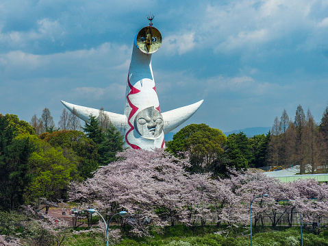Japan: Cherry Blossums in front of the Tower of the sun which an existing exhibit from the World Expo in 1970