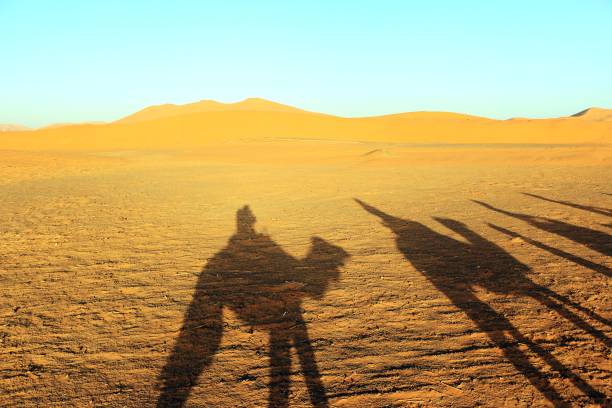 istock Camal caravan on a Nomad trip through sand desert 969588368