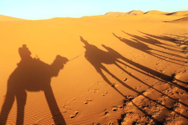 istock Camal caravan on a Nomad trip through sand desert 969588428