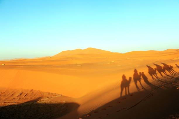 istock Camal caravan on a Nomad trip through sand desert 969590550
