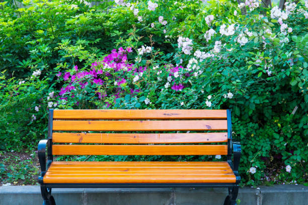istock Park flowers and resting bench 969591172