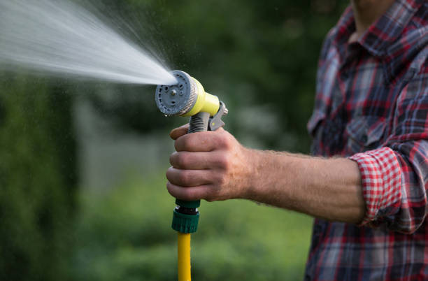 istock Man watering plants in garden 969591430
