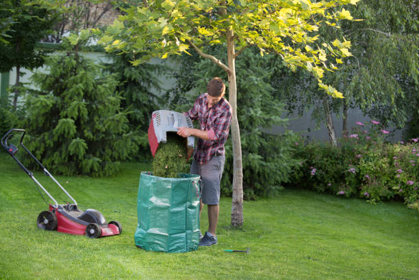 człowiek utrzymanie trawnika w ogrodzie - garden waste zdjęcia i obrazy z banku zdjęć