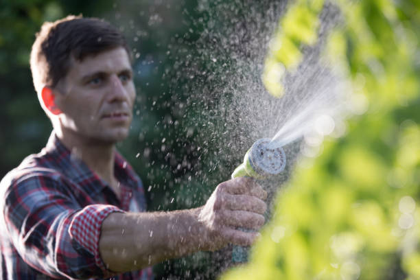 istock Man watering plants in garden 969592166