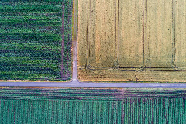 istock Top view of agricultural parcels 969602648