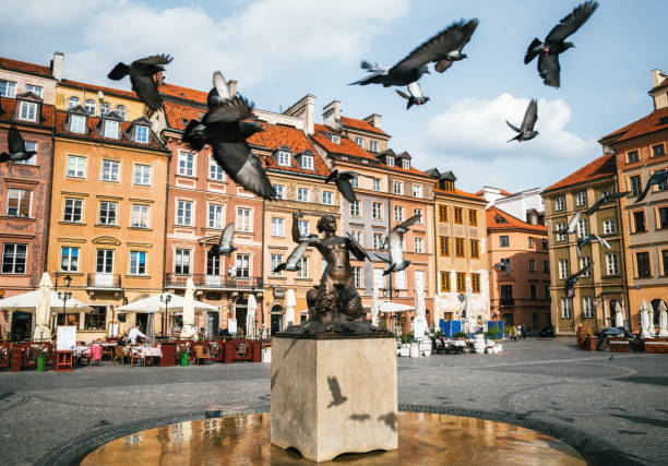 gli uccelli piccioni volano attraverso la piazza del mercato della città vecchia di stare miasto con la statua della sirena syrena a varsavia, in polonia. - warsaw old town square foto e immagini stock