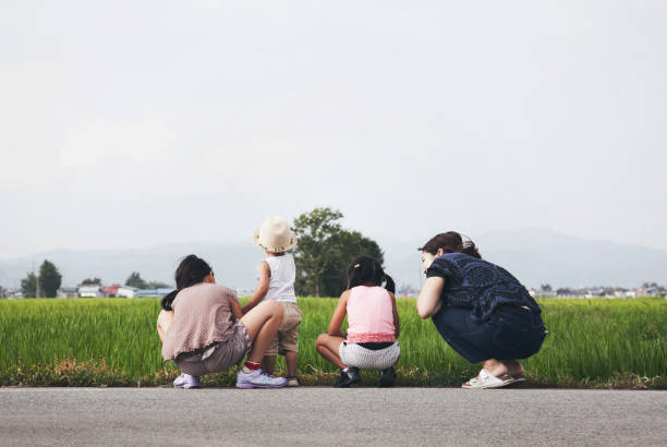 Family playing in the Rice field Asian mother and children playing in the countryside. satoyama scenery stock pictures, royalty-free photos & images