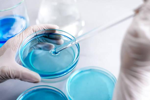 istock scientist research chemistry at science lab 969625298