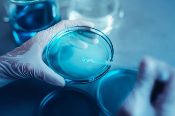 istock scientist research chemistry at science lab 969625306