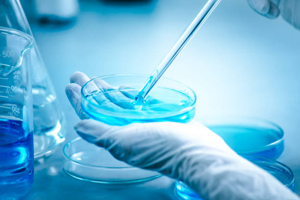 istock scientist research chemistry at science lab 969625324