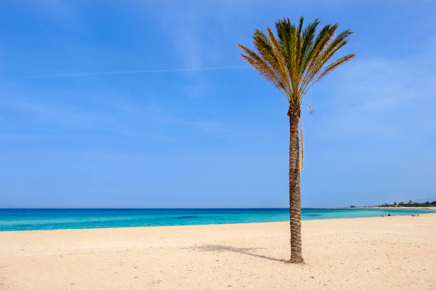 istock Beach of San Vito Lo Capo (Sicily, Italy) 969627996
