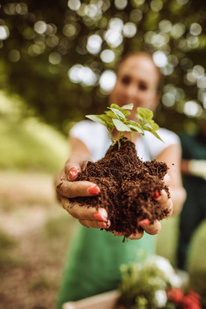 istock taking care of the plant 969630182