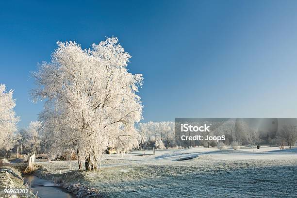 Foto de Árvores Cobertas Com Gelo E Neve e mais fotos de stock de Azul - Azul, Beleza natural - Natureza, Brilhante - Luminosidade