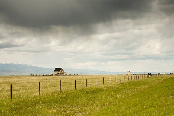 Abandoned Rural Farmhouse with Wooden Fence and Large Tree in Yard