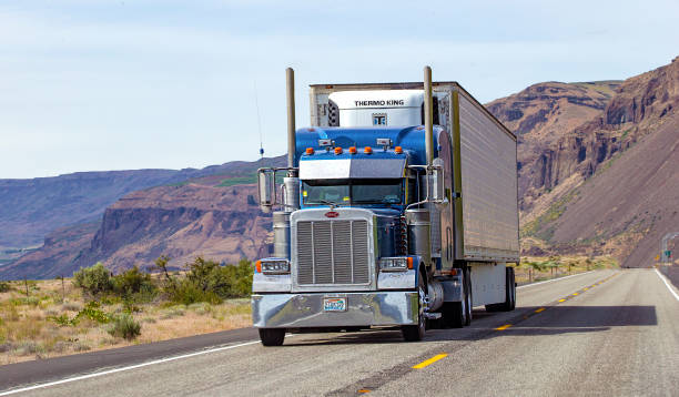 полугрузовоз с прицепом - truck semi truck blue truck driver стоковые фото и изображения