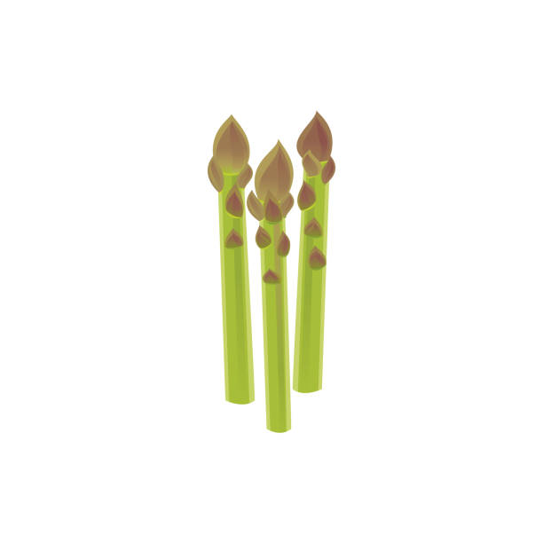 ilustraciones, imágenes clip art, dibujos animados e iconos de stock de icono de espárragos - asparagus