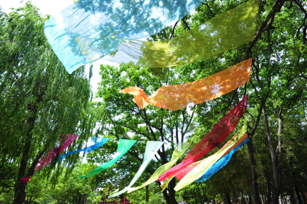 Colorful fabrics flying in the forest