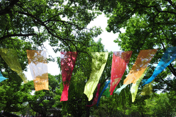 istock Colorful fabrics flying in the forest 969653212