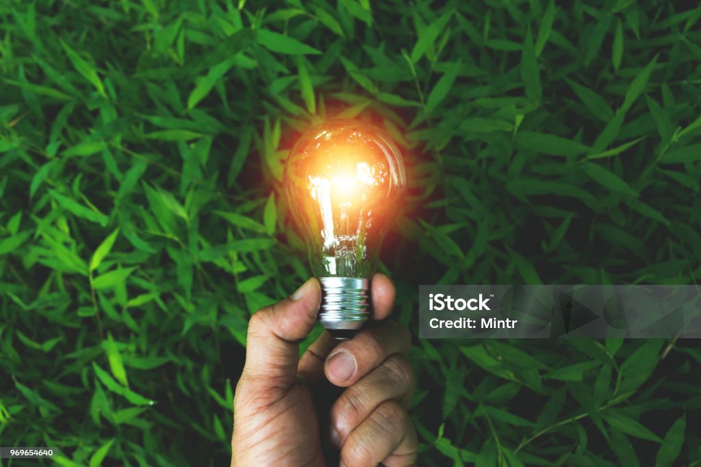 Hand der Person, die Glühbirne auf dem Rasen für solar, Energie, Idee Konzept. - Lizenzfrei Glühbirne Stock-Foto