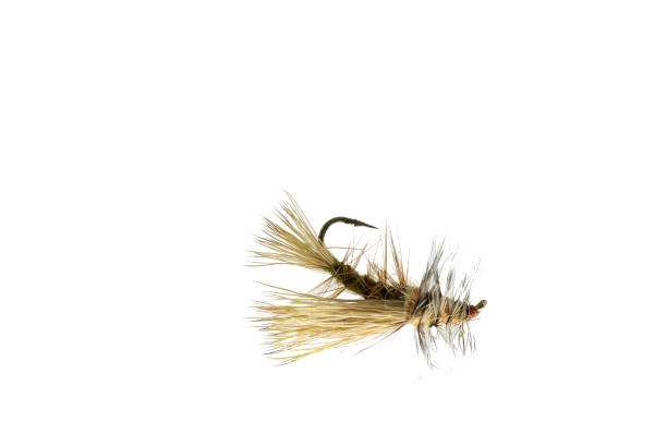 istock Fishing in Moscow - artificial flies 969655526