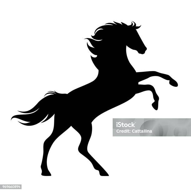 Rearing Up Horse Black Vector Silhouette Stock Illustration - Download Image Now - Horse, Vector, Mustang - Wild Horse
