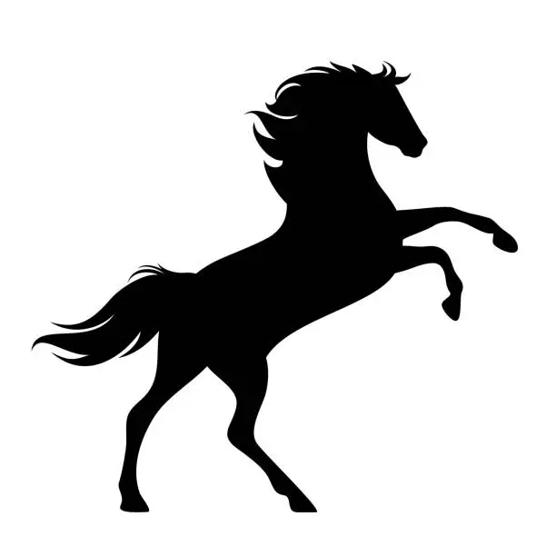 Vector illustration of rearing up horse black vector silhouette