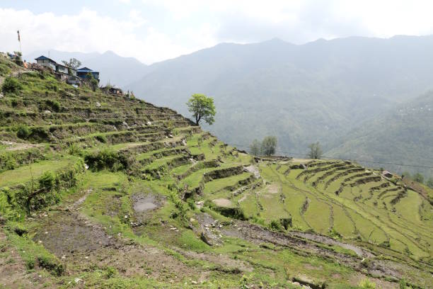istock Terraced Fields near the Annapurna Circuit in Himalayas, Nepal 969665934