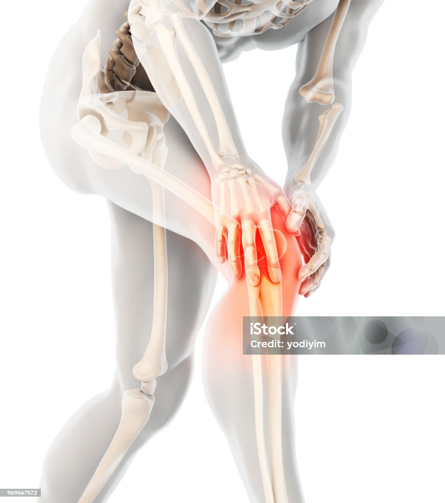 Knee painful - skeleton x-ray. Knee painful - skeleton x-ray, 3D Illustration medical concept. Knee Stock Photo