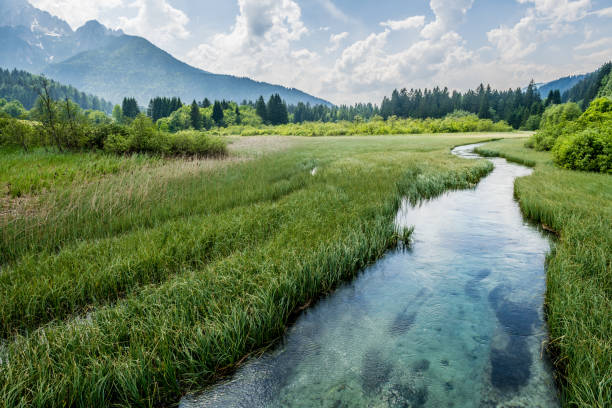 istock Green water in Alps 969667818