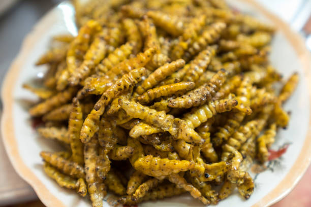 istock Fried in oil silkworm. Rich protein insert food 969671452