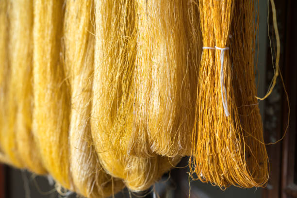 istock Raw silk thread made from pure cocoon of silkworm 969671614