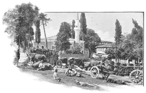 scutari kaserne in istanbul, türkei - ottoman-reich - florence nightingale stock-grafiken, -clipart, -cartoons und -symbole