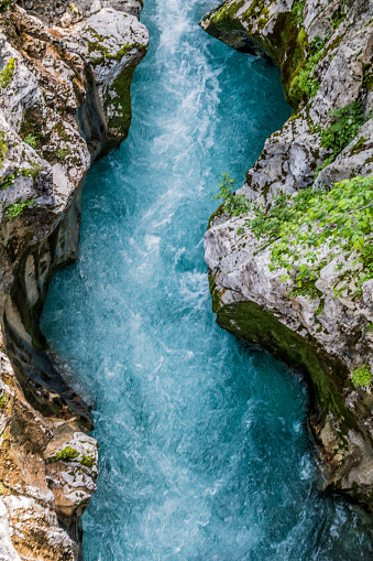 River Soča in Valley of Trenta in Julian Alps, Slovenia, Europe.