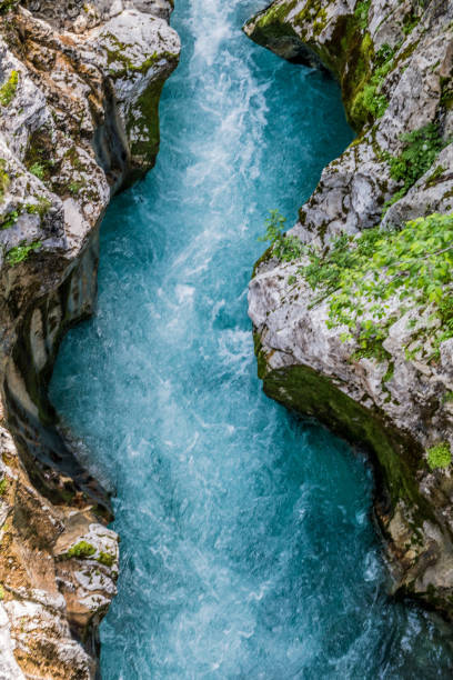 River Soca River Soča in Valley of Trenta in Julian Alps, Slovenia, Europe. spring flowing water stock pictures, royalty-free photos & images