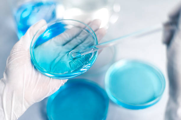 istock scientist hand holding laboratory test tube, science laboratory research and development concept 969683704