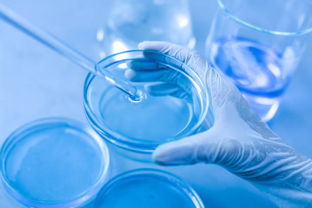 istock scientist hand holding laboratory test tube, science laboratory research and development concept 969683708