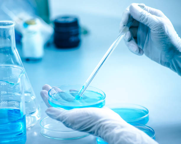 istock scientist hand holding laboratory test tube, science laboratory research and development concept 969683722