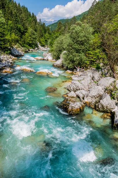 istock Senior man by the Soca River 969684676