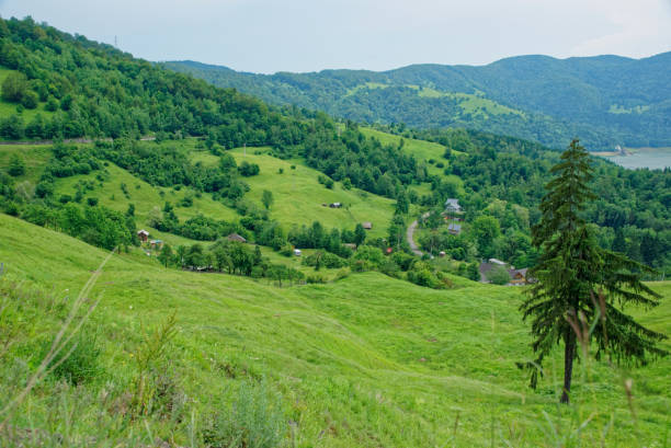 istock The beauty of Romania 969685568