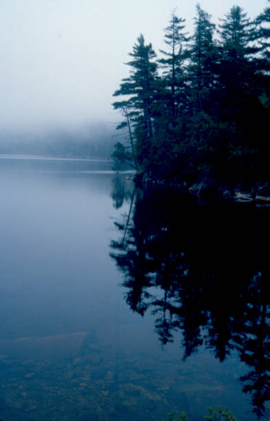 istock Lower Hadlock Pond on a Foggy Day 969703742