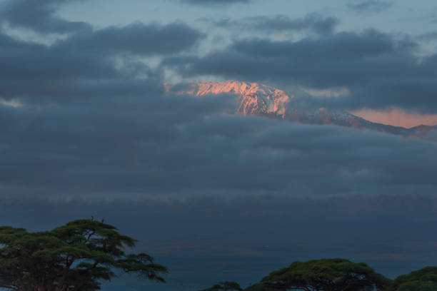 istock Kilimanjaro at sunrise 969704132